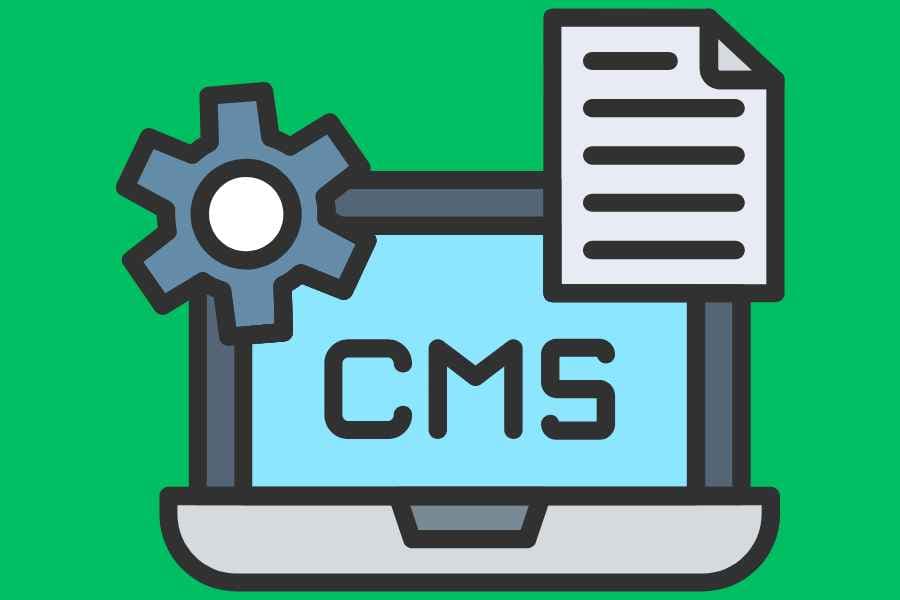 5 WordPress